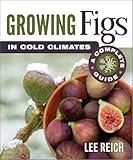 Growing Figs in Cold Climates: A Complete Guide
