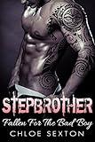 Stepbrother: Pregnancy Romance:Falling for The Bad Boy(BBW Seal Contemporary Anthologies) (Suspense New Adult & College Short Story)