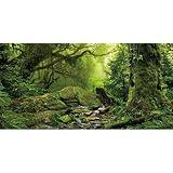 AWERT Tropical Forest Terrarium Background Stream Green Huge Tree Reptile Habitat Background Foggy Rainforest Aquarium Background 36x18 inches Durable Polyester Background