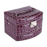 Lufodon Purple Portable Multi Layer Jewelry Box with Ring Earring Necklace Storage and Mirror