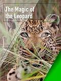 The Magic of the Leopard