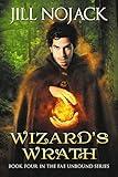 Wizard's Wrath (Fae Unbound Teen Young Adult Fantasy Series Book 4)