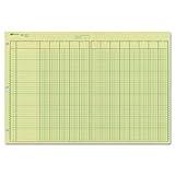 NATIONAL Analysis Pad, 13 Columns, Green Paper, 11 x 16.375", 50 Sheets (45613)