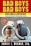 Bad Boys, Bad Boys: What Does A Lawyer Do?!: Plus Interesting Stories Curious Minds Want To Know