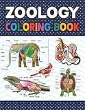 Zoology Coloring Book: Zoology Self Test Guide for Anatomy Students. Animal Art & Anatomy Workbook for Kids & Adults. Perfect Gift for Zoology ... Zoology Coloring Workbook for Kids & Adults.