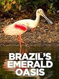 Brazil's Emerald Oasis