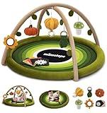 Baby Play Activity Gym Tummy Time Mat for Infant,Baby Gyms & Playmats for Babies 0 to 3 6 9 12 Months with 6 Toys for Early Sensory Exploration and Motor Skill Development (Green)