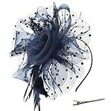 DRESHOW Fascinators Hat Flower Mesh Ribbons Feathers on a Headband and a Clip Tea Party Headwear for Girls and Women