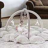 5-in-1 Thick & Plush Baby Play Gym, Baby Play Mats for Floor, Tummy Time Mat with 6 Toys, Cat Bed, Dog Bed, Convertible Stage-Based Developmental from Baby to Toddler, Ball Pit, Pet Cushion Cloudico