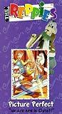 Picture Perfect [VHS]