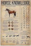 Horse Knowledge Metal Poster Anatomy Of A Horse Vintage Metal Tin Sign School Science Education Cafe Club Living Room Kitchen Bathroom Home Art Wall Decoration Plaque Gift