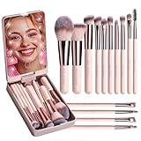 BS-MALL Travel Makeup Brush Set Foundation Powder Concealers Eye Shadows Makeup Set with LED light Mirror 14 Pcs Mini Makeup Brushes (APINK)