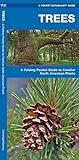 Trees: A Folding Pocket Guide to Familiar North American Plants (Nature Observation North America)