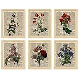 97 Decor Floral Vintage Wall Art Print - Antique Botanical Wall Art, Flower Book Wall Decor, Upcycled Dictionary Flower Poster, Wildflower Pictures for Bedroom Home Decorations (8x10 Unframed)