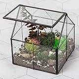 Ferrisland Glass Plant Terrarium Container Wardian Case Indoor Small Succulent Terrarium Planter w/Door for Tabletop Decor DIY - 4.9"x4.3"x4.3"