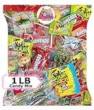 Party Favor Candy Mix - 1 lb Pinata Stuffers Candy Bulk - Goodie Bag Stuffers for Kids Party Favors - Candy Variety Pack - Bulk Candy Bags - Bulk Candy Individually Wrapped Candies - Parade Candy