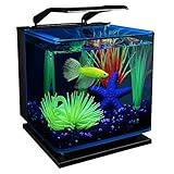 GloFish Betta Shadowbox Aquarium Kit