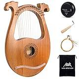 Lyre Harp, AKLOT 16 Metal Strings Mahogany Body Lyra Harp with Maple Saddle Carved Note Tuning Wrench Pickup Strings and Black Gig Bag