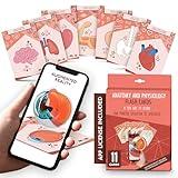 Anatomy Flash Cards, Anatomy and Physiology Flashcards for Kids, Augmented Reality, App Included, English and Spanish, A&P, Body Parts, Body Systems, Learning Tool, Study Tool, Learning Toy