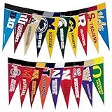 Rico Industries NCAA Big Ten Complete 4" x 9" Felt Mini Pennant League Set (Includes ALL Teams)