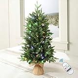 Alupssuc 2 ft Small Mini Prelit Artificial Christmas Tree with Color LED Lights, Remote Control and Timer, Little Tabletop Christmas Tree for Table Top Decorations, Home, Kitchen, Dining Desk, 2 Foot