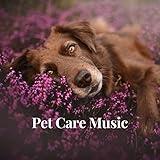 Pet Care Music. Time for Relaxation and Fun with Your Animal
