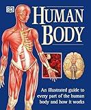 Human Body: An Illustrated Guide to Every Part of the Human Body and How It Works