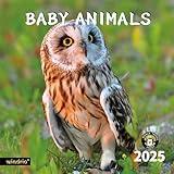 2025 Wall Calendar,Calendar 2025, November 2024 - December 2025, Wall Calendar Baby Animals, 12" x 24" Opened,Full Page Months Thick & Sturdy Paper for Calendar Organizing & Planning