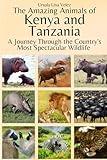 The Amazing Animals of Kenya and Tanzania: A Journey Through the Region's Most Spectacular Wildlife