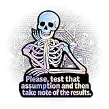 3Pcs Please Test That Assumption and Then Take Note of The Results Sticker Skeleton Pls Test That Assumption Stickers Take Note of The Result Car Decal for Laptop Water Bottle Toolbox Phone Case 3"