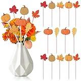 TICIAGA Fall Double-sided Wooden Picks - 14PCS Pumpkin Wooden Decorative Pick for Home Vase Filler Colorful Wooden Maple Decorative Pick for Farmhouse Decor Autumn Theme Decorations for Home