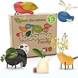 Taksa Toys Locomo Family 1 Open-Ended Waldorf Educational Outdoor Play Figures, Wooden Animal Montessori Toys for Kids 3 4 5 6 7+ for Childs Learning & Creativity Year Old, Gifts (Set of 5)