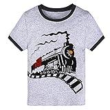 Boys Novelty T-Shirts Dinosaurs Top Tee Shirt Summer Short Sleeve Tees Kids 2-3 Years