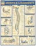 Joints & Ligaments QuickStudy Laminated Reference Chartce (QuickStudy Academic)