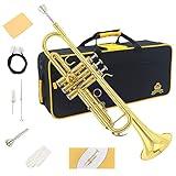 Bb Standard Trumpet Set,Band & Orchestra Musical Instruments for Beginners or Advanced Students,with Trumpet case,Trumpet cleaning kit,Trumpet mouthpiece,Cloth and Gloves (Golden)