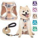 BEAUTYZOO Small Dog Harness and Leash Set,Step in No Choke No Pull Soft Mesh Dog Harnesses Reflective for Extra-Small Medium Puppy Dogs and Cats, Plaid Dog Vest Harness for XS S Pets, Beige XS