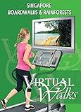 Treadmill Video Singapore Boardwalks for indoor walking, treadmill and cycling workouts