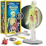 National Geographic Human Body Model for Kids That Glows in The Dark - 32-Piece Interactive Anatomy Model with Bones, Organs, Muscles, Science Kit Stocking Stuffer, Anatomy & Physiology Study Tools