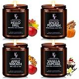 Winter Candles Set, 4 Pack Scented Candles for Home Natural Soy Wax, Holiday Gifts for Women Men, Winter Fragrance of Spice/Vanilla Cupcake/Apple Wreath/Hello Fall