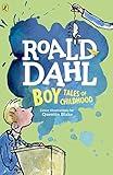 Boy: Tales of Childhood