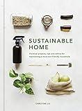 Sustainable Home: Practical projects, tips and advice for maintaining a more eco-friendly household (Volume 1)