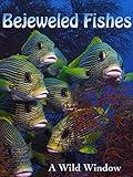 Bejeweled Fishes