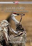 Goose Pond: The Story of a Wetland and Its Neighbors