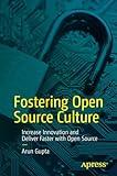 Fostering Open Source Culture: Increase Innovation and Deliver Faster with Open Source