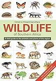 Wildlife of Southern Africa: A field guide to the animals and plants of the region