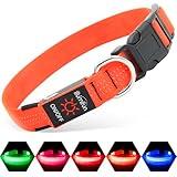 LED Dog Collar Rechargeable - Light Up Dog Collar for Small Dogs, Reflective Glow in The Dark Dog Collar, Adjustable Puppy Collar Safety Dog Lights for Night Walking (OrangeⅢ, Small)