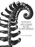 Art Forms in the Plant World: 120 Full-Page Photographs (Dover Pictorial Archive)