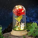 Red Roses from Daughter for Mom Mothers Day, Beauty and The Beast Rose, with LED Light Up Plastic Rose in Dome, for Wife Grandma Christmas Day Valentine Day Birthday for Her Gift (Rabbit)