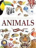 Knowledge Encyclopedia: Animals (Knowledge Encyclopedia For Children)