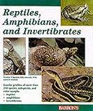 Reptiles, Amphibians and Invertebrates: An Identification and Care Guide